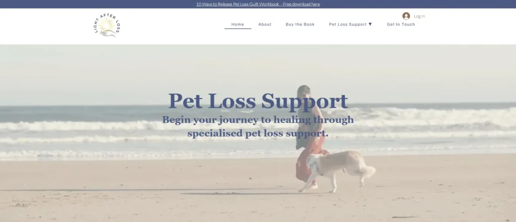 Screenshot of Light After Loss website - with copywriting written by Ryan Virtual